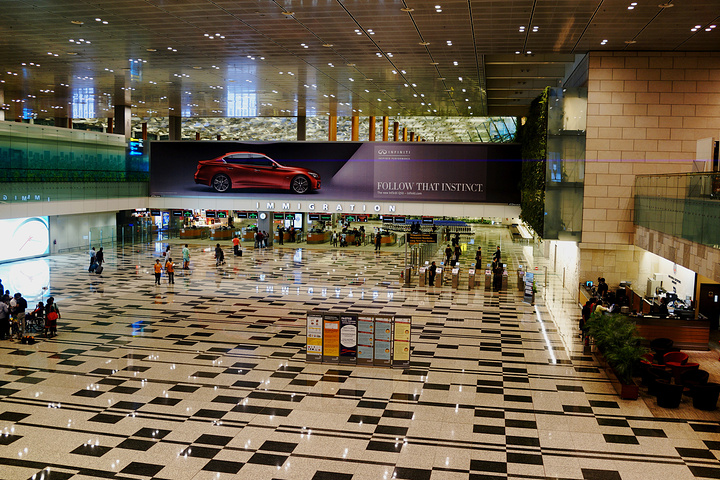 2015新加坡的入境单也超级简单,都是中文的按