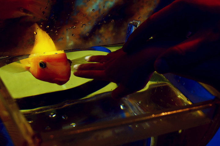 2015号称亚洲最大海洋生物馆的圣淘沙海底世