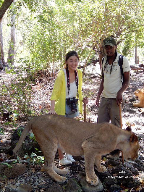 蜜月之旅,毛里求斯!_毛里求斯旅游攻略