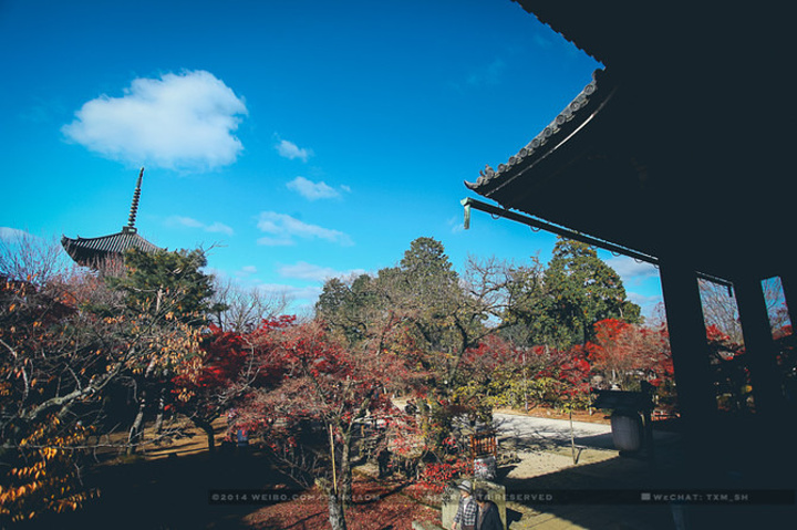 【真如堂】真正极乐寺(しんしょうごくらくじ)是位在日本京都府京都市