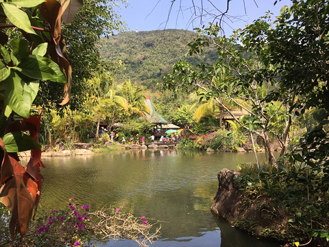2015呀诺达雨林景区_旅游攻略_门票_地址_游