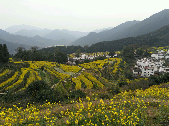 2015婺源旅游包车师傅,婺源游侠带您玩转婺源