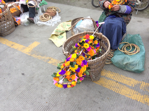 2015黄龙溪_v地址地址_门票_攻略_游记点评,成55开玩的游戏通关图片