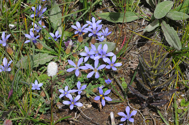 稻城亚丁_甘孜旅游攻略