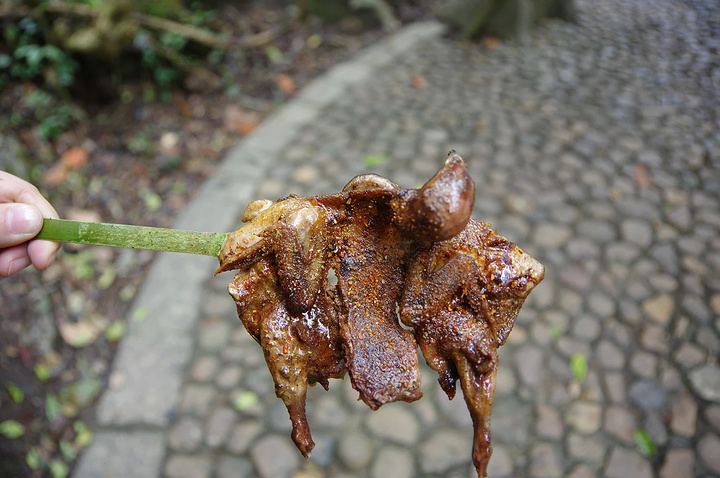 路边有卖烤斑鸠的,10元,大胆尝试了一下, 味道一般,没什么肉