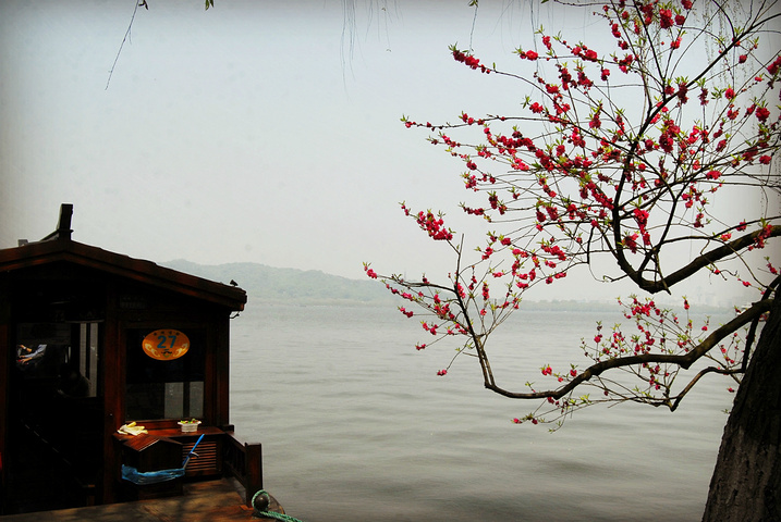 2015从小看新白娘子传奇,就一直想去西湖断桥