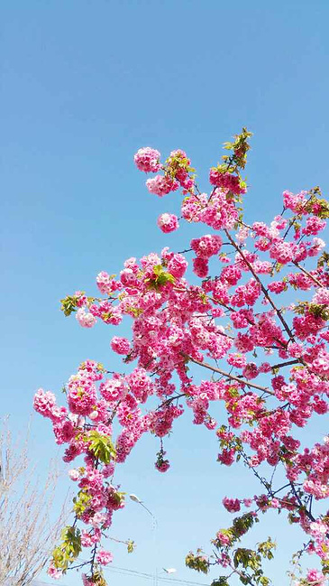 一场你我重逢的旅程,武当山,大理,西双版_十堰
