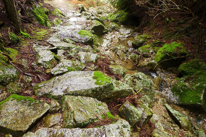 2019高松游玩美食,高松交通/住宿/攻略/攻略/购自驾车衡山住宿行程图片