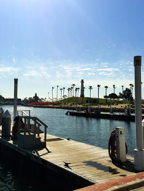 洛杉矶第一次包船海钓体验_洛杉矶旅游攻略