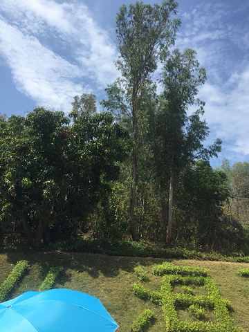 2016下楼海边散步之后,坐上了南山寺的旅游大