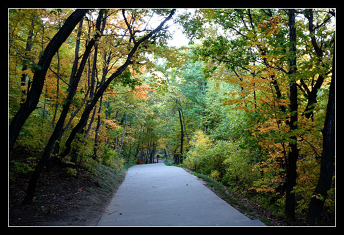 2015是吉林市最大的市区风景名胜公园_吉林评论 - 去哪儿攻略社区