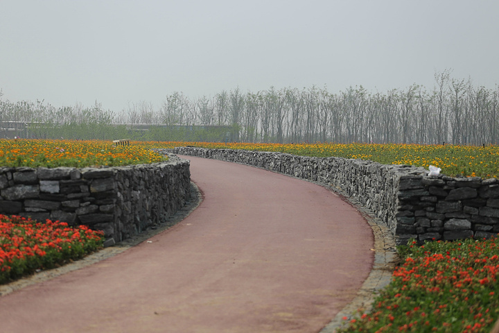 2015非常值得大家前往参观游玩_三台山森林公园 评论 - 去哪儿攻略社区