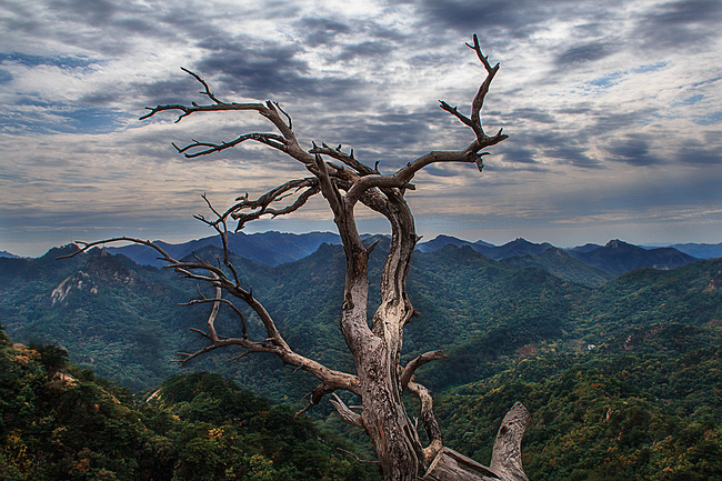 学生党十一沈阳、本溪、鞍山、盘锦四日游_沈