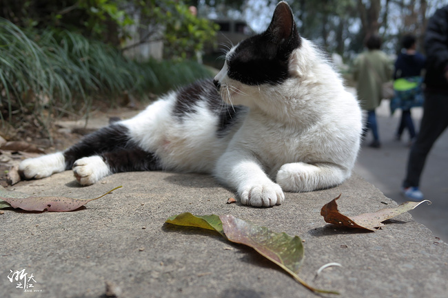 吃在江南--杭州苏州上海_杭州旅游攻略_自助游