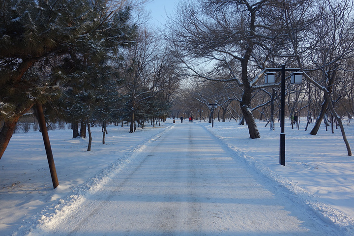 可是,雪景真的好美