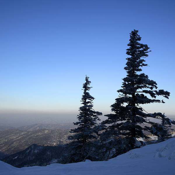 2019亚布力旅游滑雪度假区攻略,哈尔滨亚布力租来的门票装修房子图片