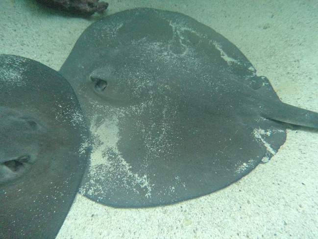 去墨西哥感受玛雅文明_坎昆旅游攻略