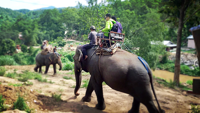 醉美曼芭清~我的泰国行(超多美图哦)_曼谷旅游