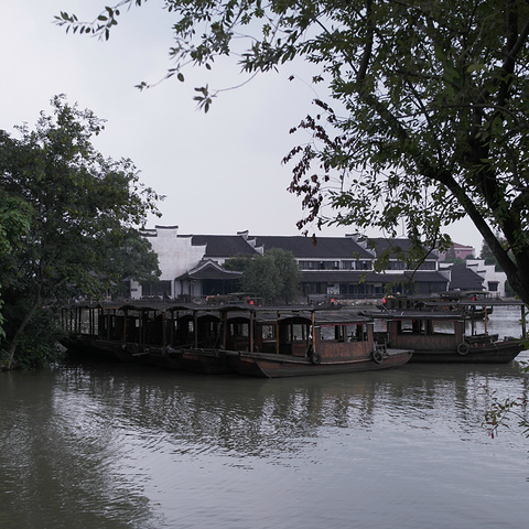 2015老板娘很热情,到车站接了我们_嘉兴评论