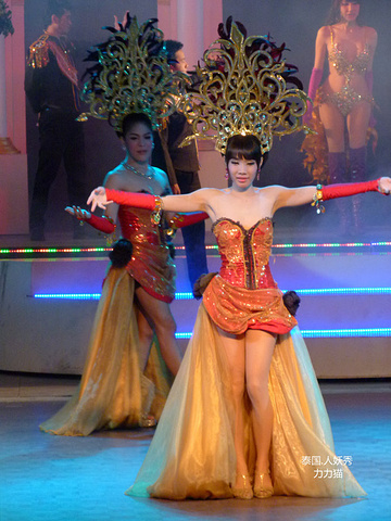 2016便百病缠身, 人妖的寿命很短_金东尼人妖