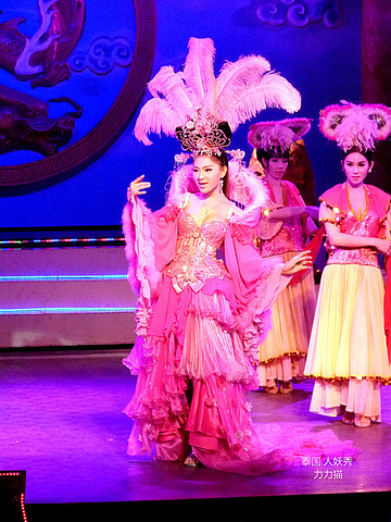 2016便百病缠身, 人妖的寿命很短_金东尼人妖