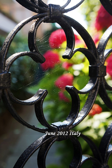 2015彩色岛_旅游攻略_门票_地址_游记点评,威