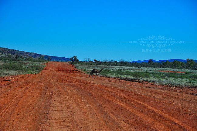 女王的假期(合集)--澳洲、新西兰篇_卢克索旅游