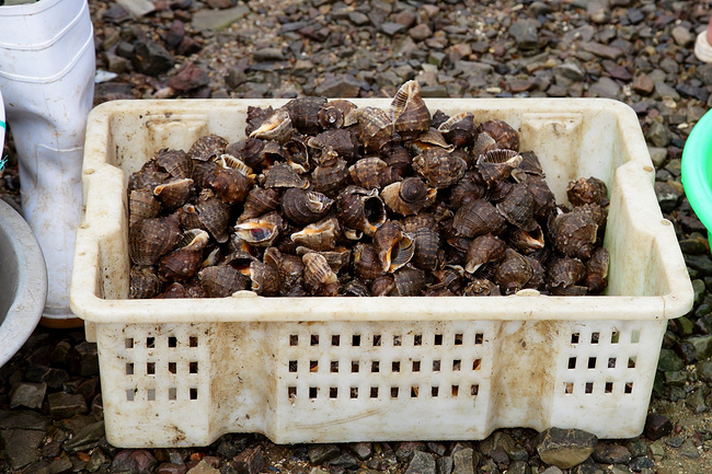 长春_葫芦岛旅游攻略