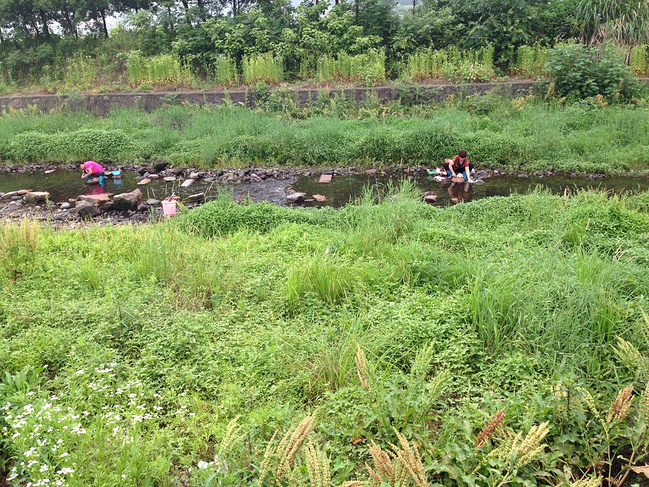 九华天池1日游_池州旅游攻略_自助游攻略_去