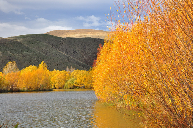 我与新西兰的秋_皇后镇旅游攻略
