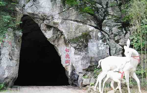 白鹿洞寺旅游景点攻略图