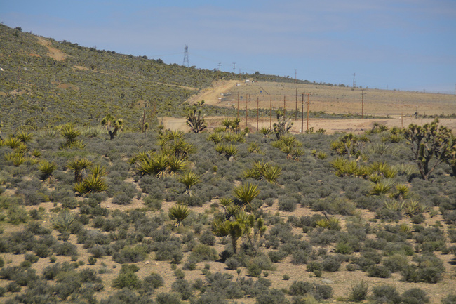 我和老伴的美国之行(上)_拉斯维加斯旅游攻略