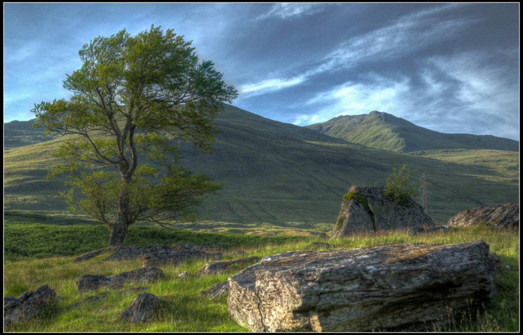 2015Lightstalkers苏格兰_旅游攻略_门票_地址