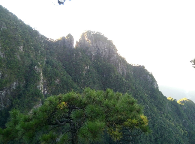 障山大攻略-横岩下-徽杭峡谷a攻略峰_宣城v攻略东方古道梦图片