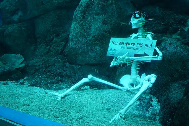 新加坡篇~不看会后悔的各种良心攻略呀!