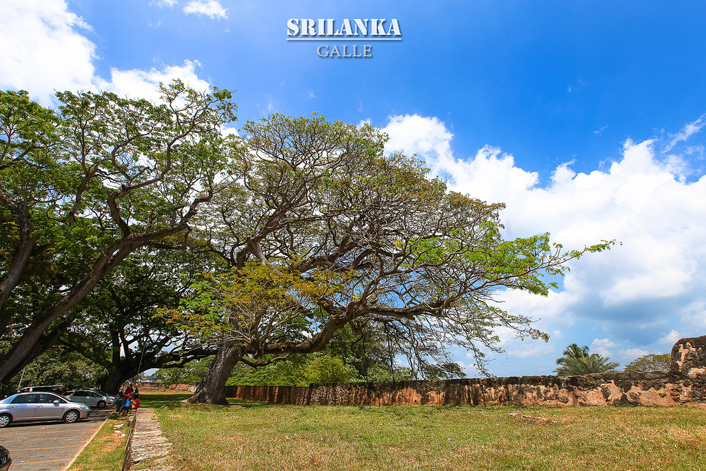 2015乌德勒支碉堡与灯塔_旅游攻略_门票_地址