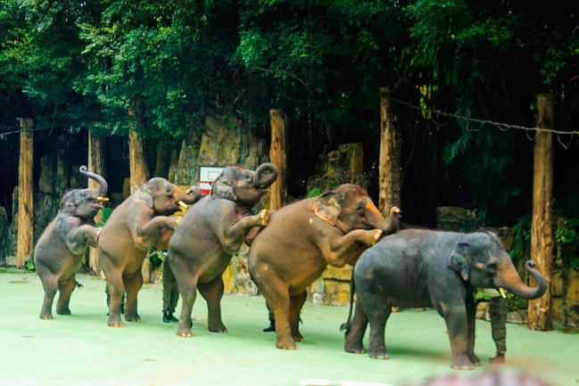 周末找萌_广州旅游攻略