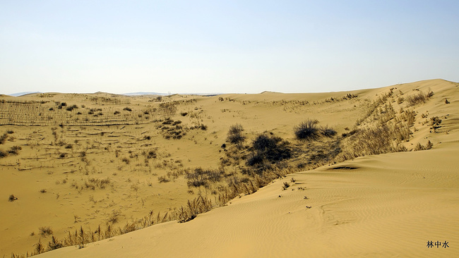 穿行库布齐沙漠,花样游记_鄂尔多斯旅游攻略