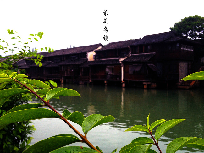 忆江南,古镇自由行_苏州旅游攻略