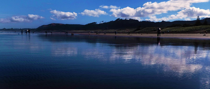 2016穆里怀是新西兰鲣鸟的主要栖息地,华人称