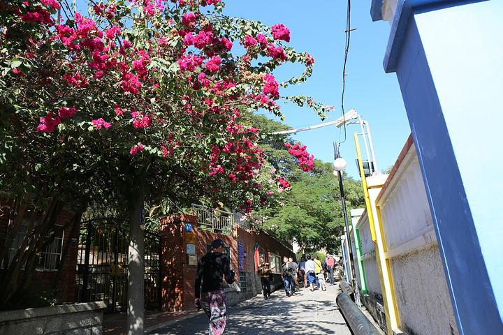 2015在微信官网上面预定了8点多的船票,刷身