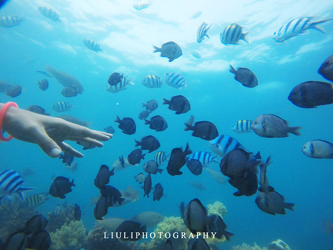 【越南越美】在雨季,遇见不一样的芽庄_芽庄旅