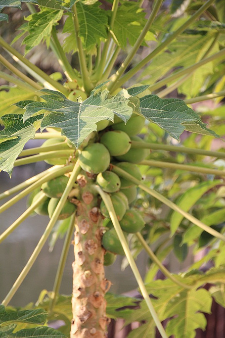 2016东湖公园_旅游攻略_门票_地址_游记点评