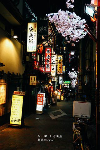 2016我们在日比谷公园溜达一下,就去新宿了~