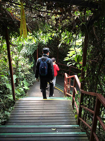 2016那个号称亚洲最长的索道感觉没什么意思