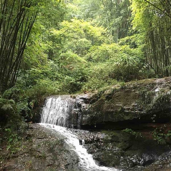 2019蜀南竹海攻略,泰安蜀南竹海游玩攻略,蜀南长宁到南京一日游门票图片