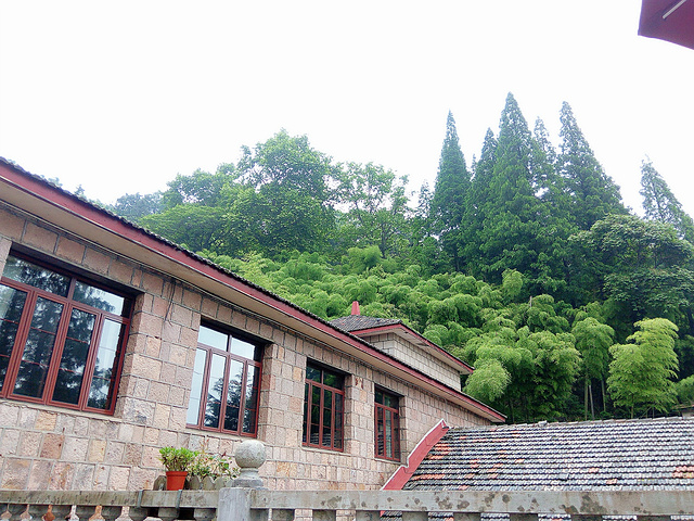 2019莫干山住宿行程,莫干山攻略/游玩/攻略/美帽儿山自由行交通图片