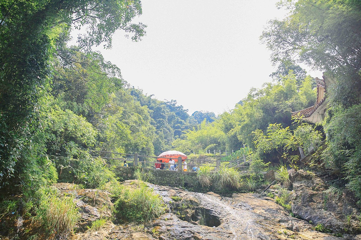 下坪南边约二公里处,峡中有一远近闻名的瀑布叫川水龙瀑布,传说,从前石硖山一带遇上大旱,猛烈的太阳,把山上的石头晒得冒火,竹、木也快枯黄了,山民个个心急如煎,叫苦不迭。村里的长者经过商量,齐集了男女老少,在石峡山下焚香求雨。恰巧,巡天神驾云经过,看见人间这一惨状,便回天庭将此事禀告天王。天王遂派出巡海神到东海,传令龙王解救山民危难。不久,龙王点派了一名川水龙执行指令。于是,川水龙腾跃出海,直奔石硖山,对准冒火的巨石猛烈撞击。霎时间,雷鸣电闪,乌云密布。继而甘霖吉雨倾盆而降。川水龙亦化作飞瀑,长留山间,为