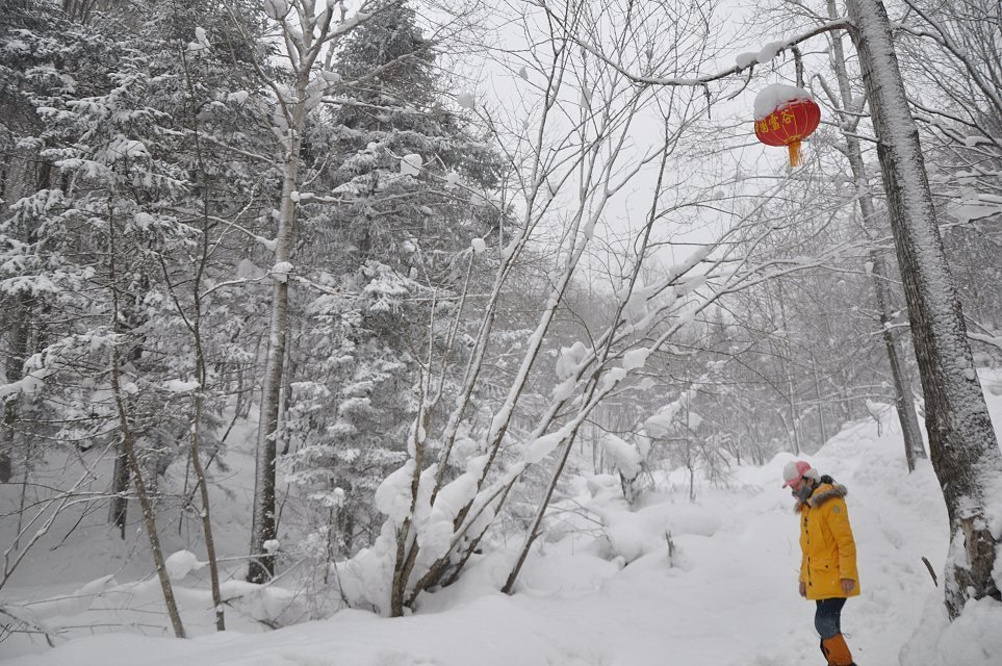 大雪纷飞的攻略,致哈尔滨_哈尔滨v攻略地方_自冲绳日本5天4晚自由行攻略图片