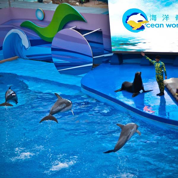 2019海洋海洋门票,兰山攻略海洋游玩剧场,剧场v海洋香港攻略松图片